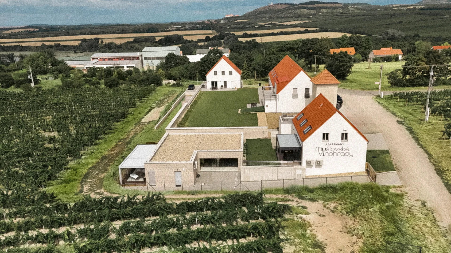 TERRA VINO